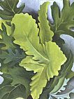Georgia O'Keeffe Green Oak Leaves painting
